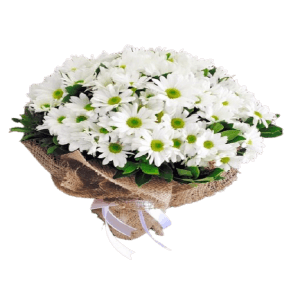 Papatya Buketi